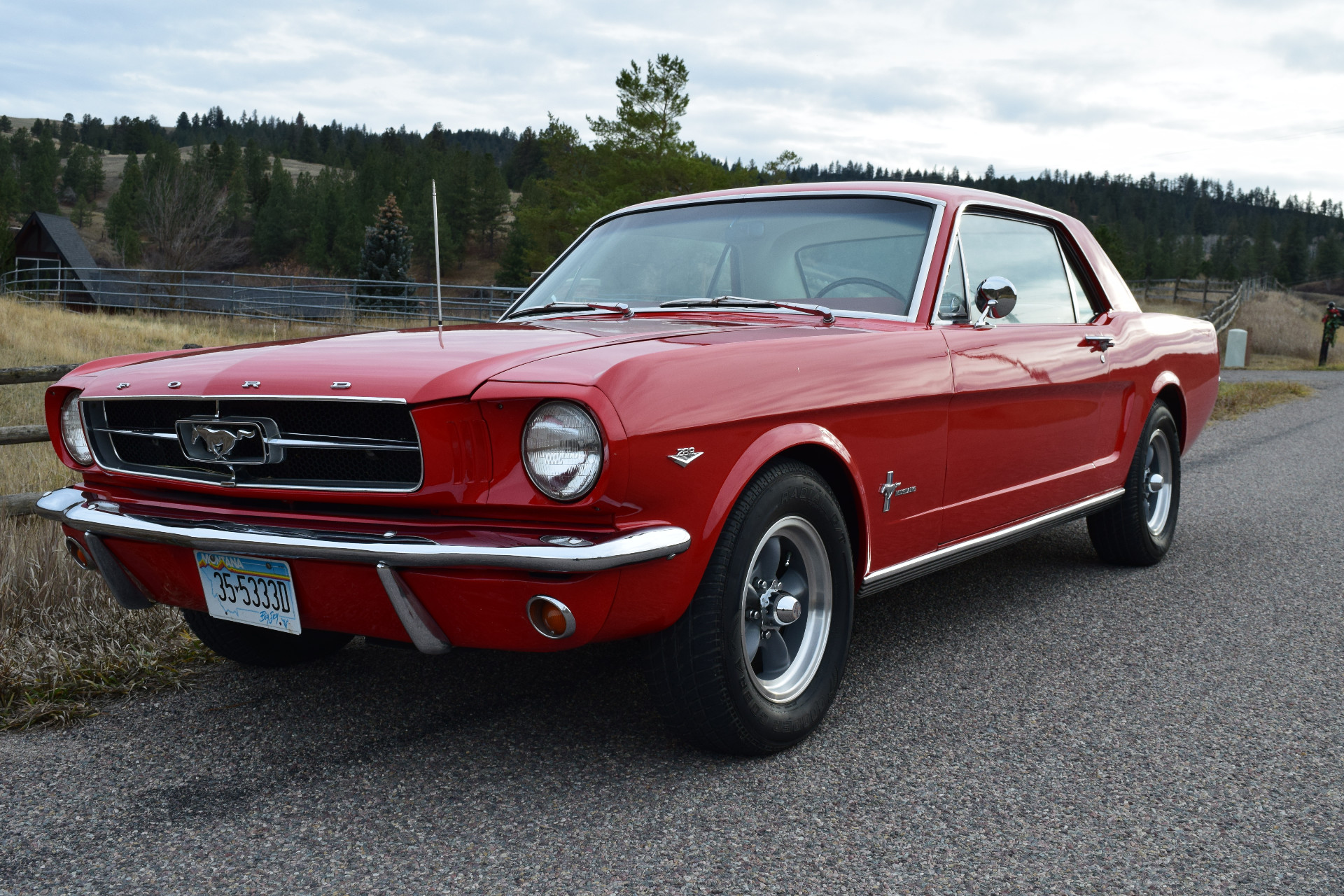 Ford-Mustang-1965-2025-11-26T03:03:21.844Z