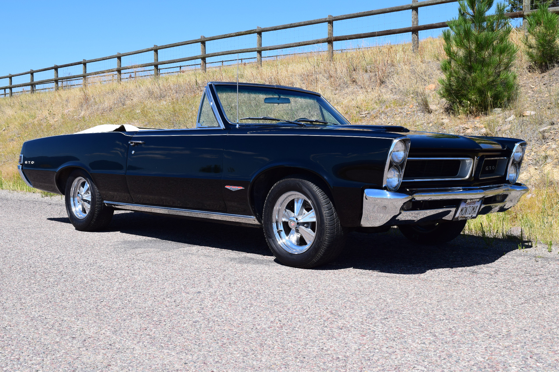 Pontiac-GTO-1965-2025-08-13T00:27:47.624Z