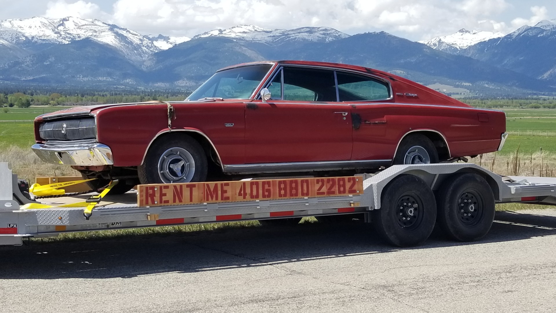 Dodge-Charger-1966-2024-02-23T15:34:34.413Z