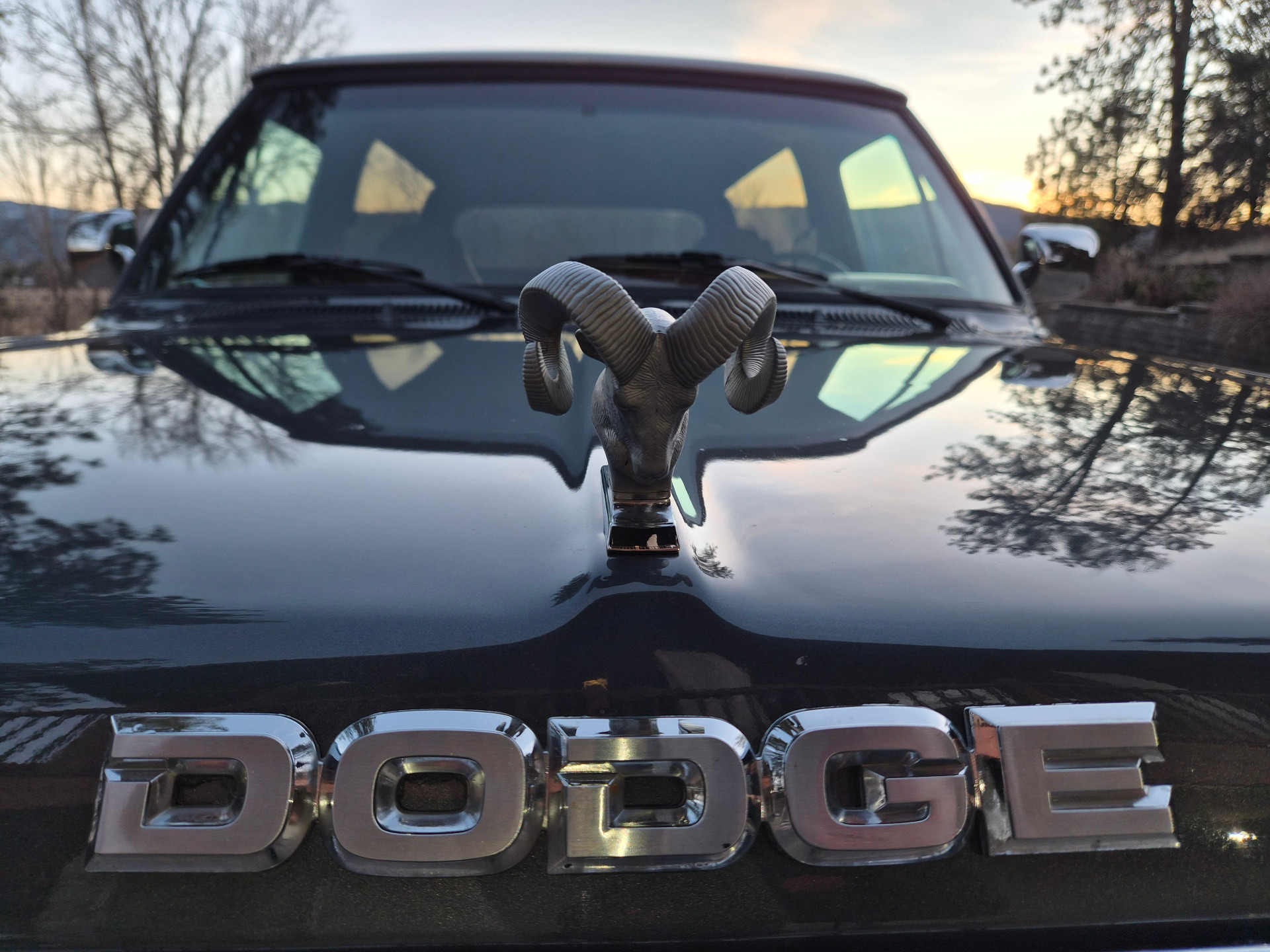 Dodge-Ramcharger-1988-2024-02-19T23:37:08.135Z